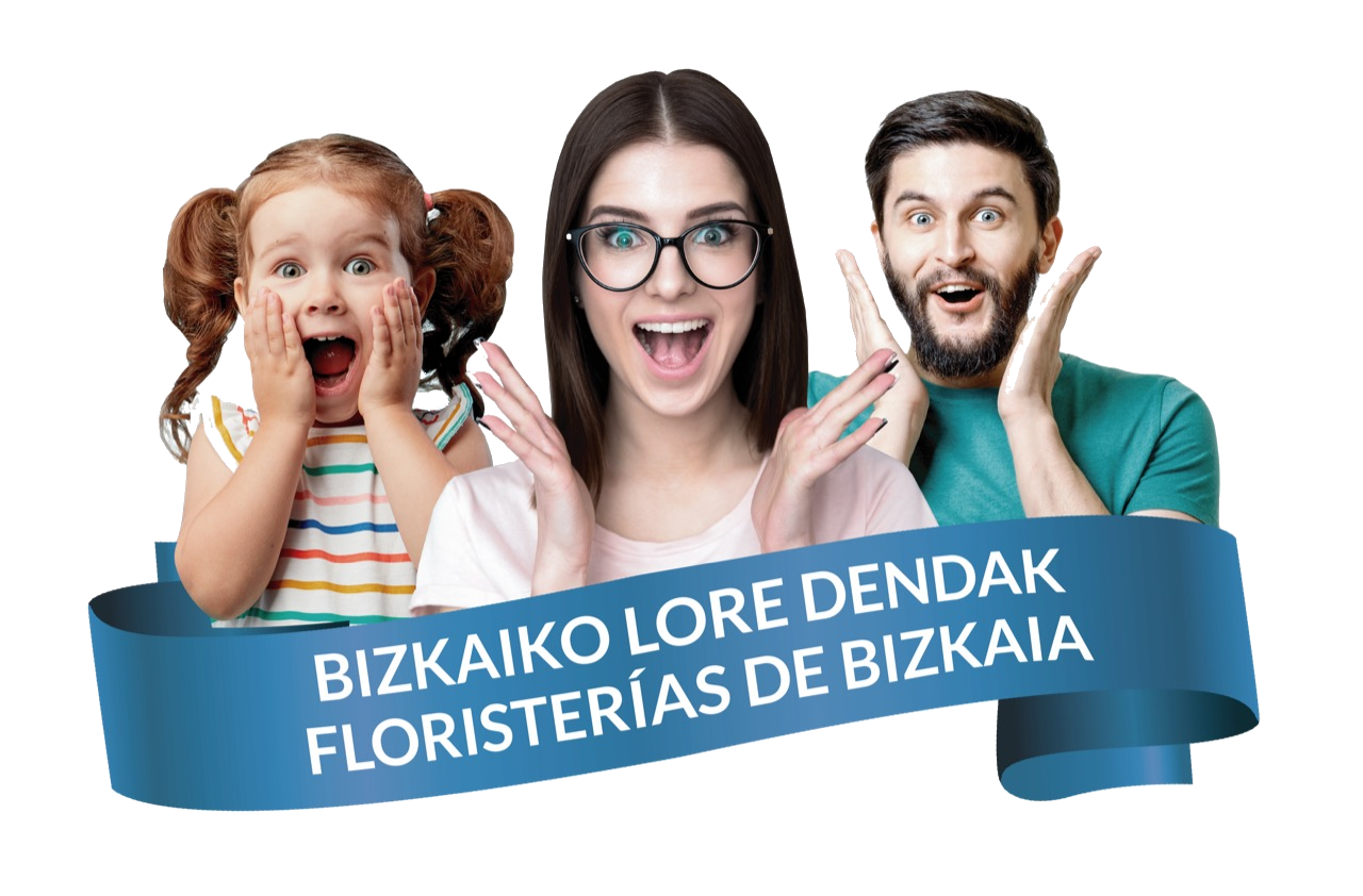 Bizkaiko Lore Dendak - Floristerías de Bizkaia